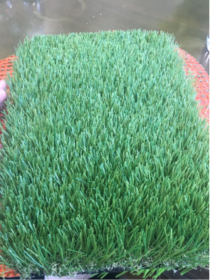 庭院草