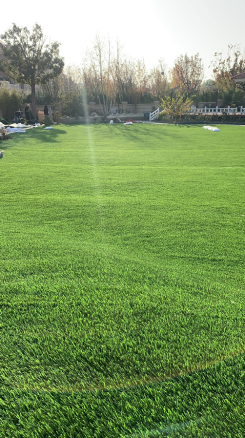 庭院草